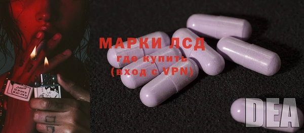apvp Магадан