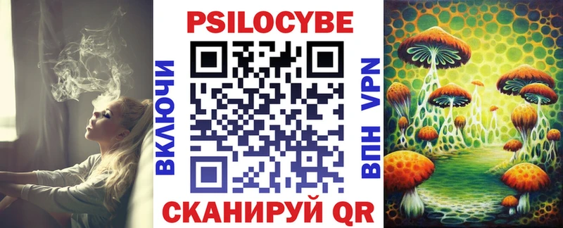 Галлюциногенные грибы Magic Shrooms  где можно купить   Вичуга 