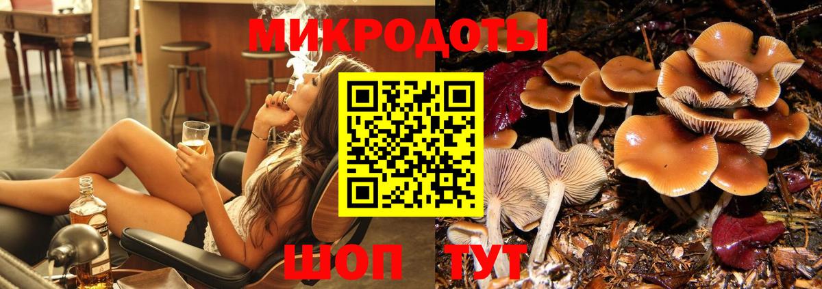Псилоцибиновые грибы Psilocybe Вичуга