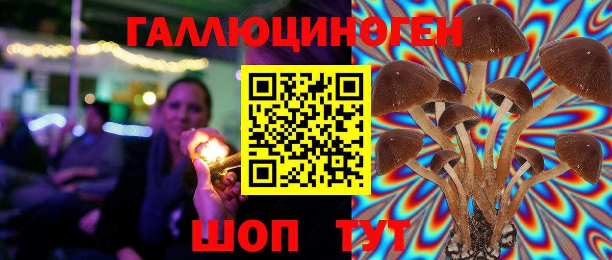 Псилоцибиновые грибы Magic Shrooms  Вход с VPN  Вичуга  Псилоцибиновые грибы прущие грибы 