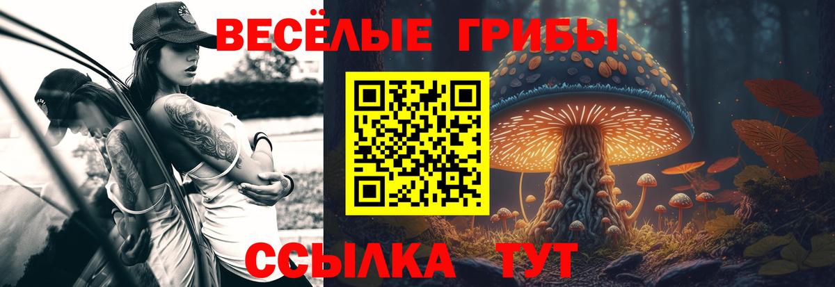 Гашиш Вичуга